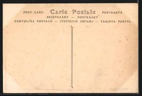 AK Musicien Arabe, arabischer Musiker