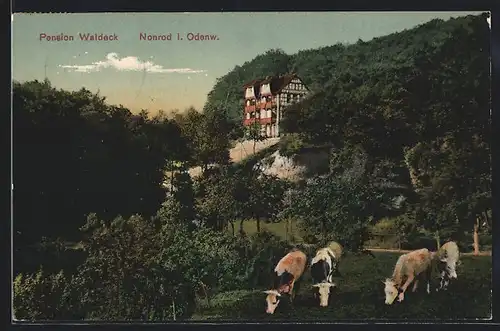 AK Nonrod i. Odenw., Pension Waldeck