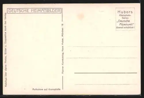 AK Mittenwald, Strassenpartie mit Kühen