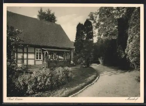 AK Bad Essen, Pension Meierhof