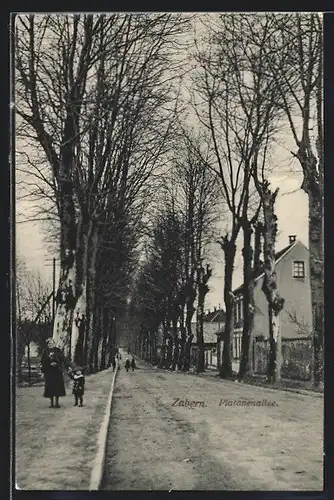 AK Zabern, Blick in die Platanenallee