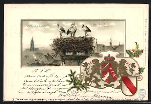 Passepartout-Lithographie Strassburg i. E., Storchnest, Wappen
