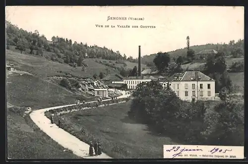 AK Senones, Vue de la Vallee des Gouttes