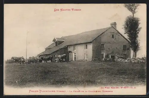 AK Fraize-Plainfaing, La Ferme de la Chaume du Rossberg