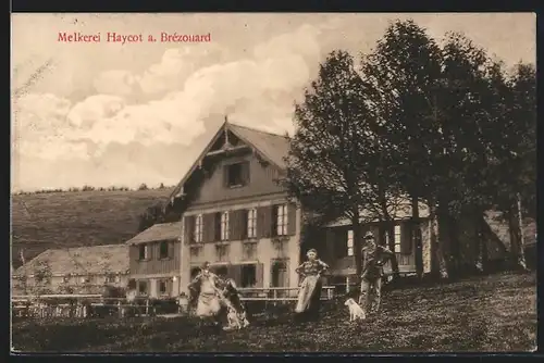 AK Brézouard, Melkerei Haycot