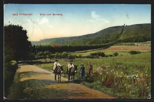 AK Bad Pyrmont, Blick zum Bromberg und Kinder auf Eseln