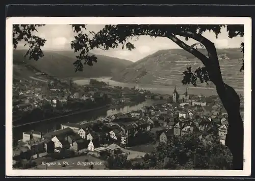 AK Bingen a. Rh.-Bingerbrück, Panorama mit Baum