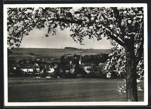 AK Tiefurt b. Weimar, Teilansicht mit Baum