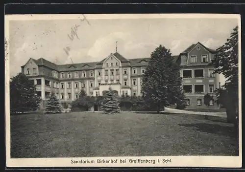 AK Greiffenberg i. Schl., Sanatorium Birkenhof