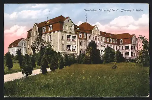 AK Greiffenberg i. Schles., Sanatorium Birkenhof