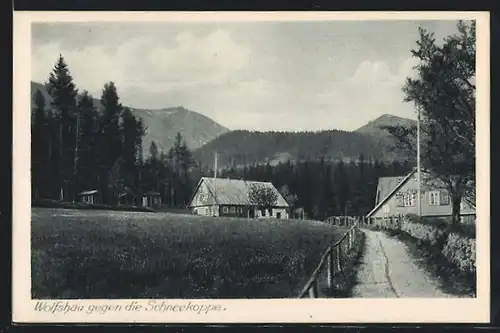 AK Wolfshau, Ortsansicht gegen die Schneekoppe