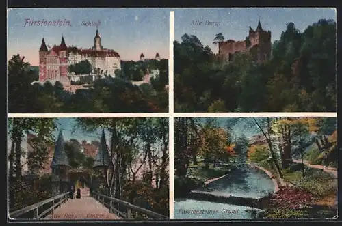 AK Fürstenstein, Fürstensteiner Grund, Schloss, Alte Burg und Eingang zur alten Burg
