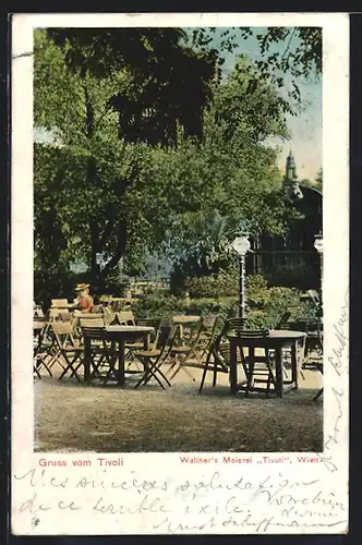 AK Wien-Tivoli, Wallner`s Meierei Tivoli