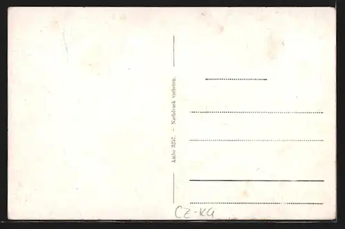 AK Johannisbad / Janske Lazne, Kurplatz aus der Vogelschau