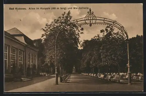 AK Bad Kudowa, Allee im Kurpark und Wandelhalle