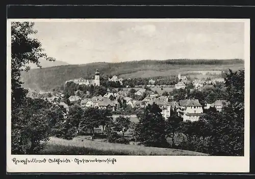 AK Bad Altheide, Gesamtansicht bei Tag