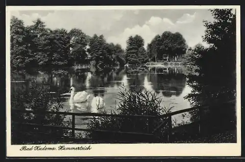 AK Bad Kudowa, Hammerteich mit Schwänen