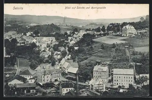 AK Sebnitz, Blick auf den Ort und Hertingswalde