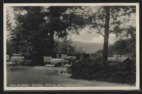 AK Bärenfels i. Osterzgeb., Gästeheim Haus am Walde, Blick von der Frühstücksterrasse
