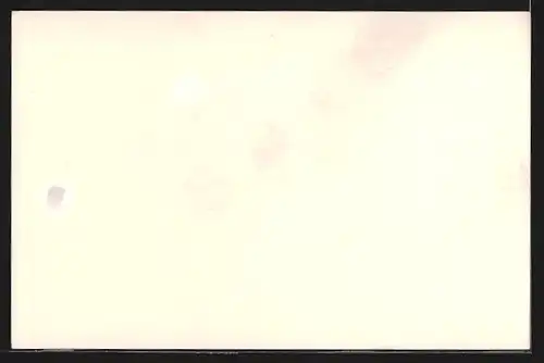 AK Bad Reichenhall /Bayerisches Hochland, Teilansicht mit Bergen