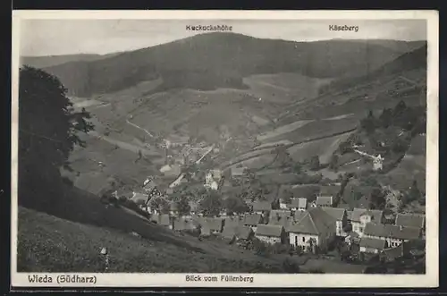 AK Wieda /Südharz, Blick vom Füllenberg auf den Ort mit Kuckuckshöhe und Käseberg