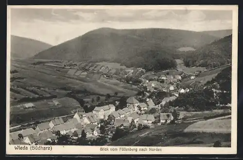 AK Wieda / Südharz, Blick vom Füllenberg nach Norden