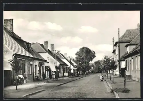 AK Friedrichsthal /Kr. Oranienburg, Dorfstrasse mit Anwohnern