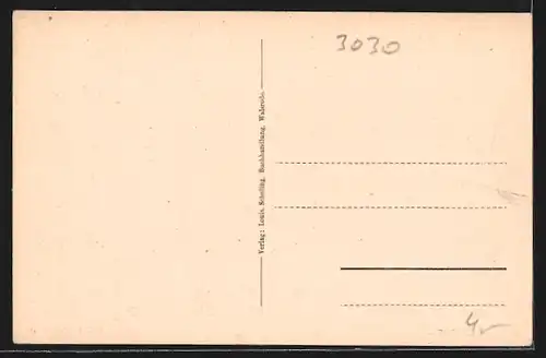 AK Walsrode, Totalansicht