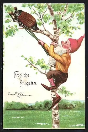 Künstler-AK Fröhliche Pfingsten, ein Maikäfer und ein Zwerg auf einer Birke
