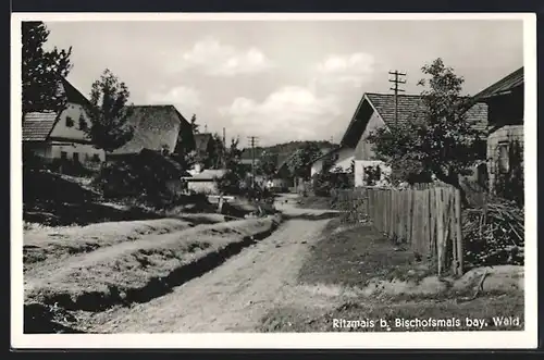 AK Ritzmais b. Bischofsmais /Bay. Wald, Strassenpartie im Ort