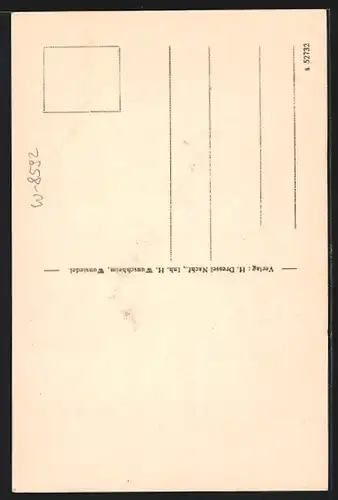 AK Wunsiedel, Strassenpartie in der Fleischergasse mit Stadtkirche