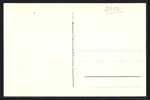 AK Brunsbüttelkoog, Koogstrasse mit Hotel zur Kanalmündung