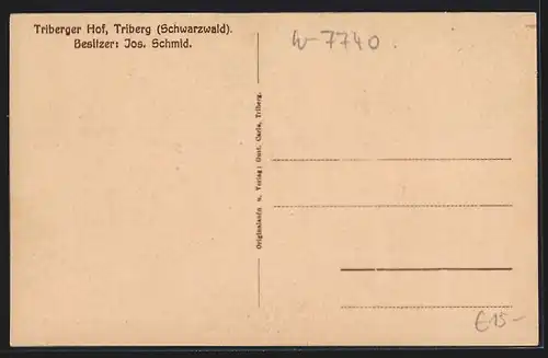 AK Triberg, Pension Triberger Hof