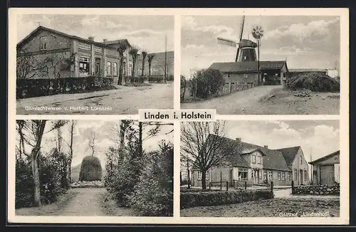 AK Linden i. Holstein, Gasthof Lindenhof, Gemischtwarengeschäft von Herbert Lorenzen, Windmühle