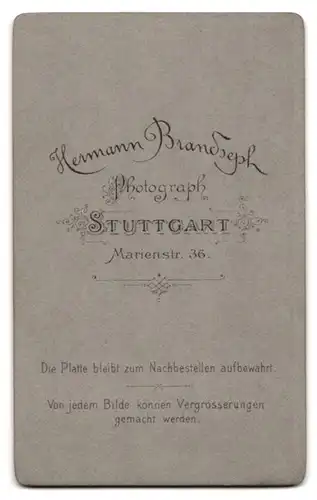 Fotografie Hermann Brandseph, Stuttgart, Marienstr. 36, Junger Mann im Anzug mit Fliege