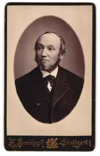 Fotografie Hermann Brandseph, Stuttgart, Marienstr. 36, Elegant gekleideter Herr mit Bart