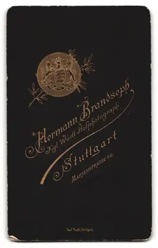 Fotografie Hermann Brandseph, Stuttgart, Marienstr. 36, Elegant gekleideter Herr mit Bart