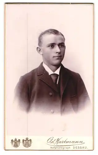 Fotografie Cld. Hartmann, Dessau, Franz-Strasse 24b, Junger Herr im Anzug mit Krawatte