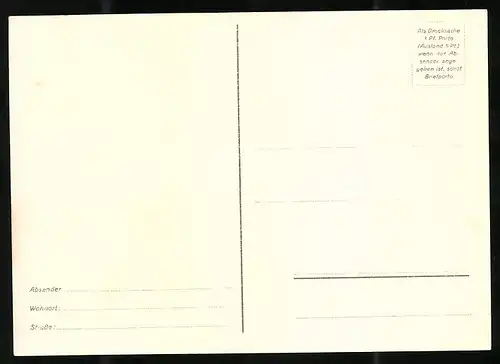 Riesen-AK 1.WK, Westfront, erbeutete 12.000 Stück französische 12cm Artillerie Geschosse