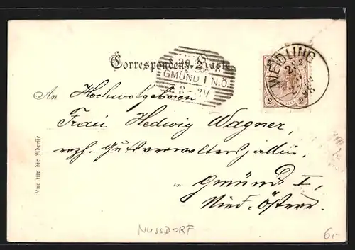 AK Wien, Gasthaus Zur Wildgrube