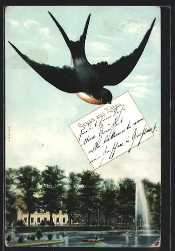 AK Zittau, Flusspartie, Schwalbe mit Brief im Schnabel