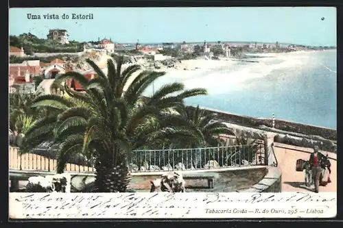 AK Monte Estoril, Panorama