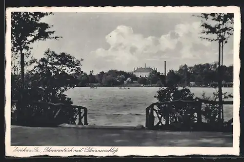 AK Zwickau /Sa., Schwanenteich mit Schwanenschloss