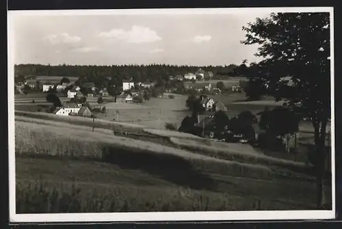 AK Wernitzgrün i. Vogtl., Ortspartie