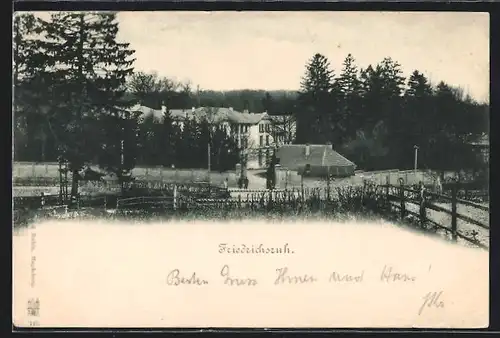 AK Friedrichsruh, Ortspartie mit Blick auf grosses Gebäude