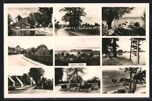 AK Selent, Kriegerdenkmal, Strassenpartie und Strandleben