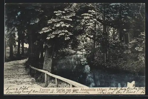AK Zeven, Partie aus dem Ahegehölz (Allee)