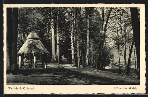 AK Hamburg-Ohlstedt, Hütte im Walde