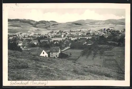 AK Golmbach /Brschwg., Ortsansicht bei Tag