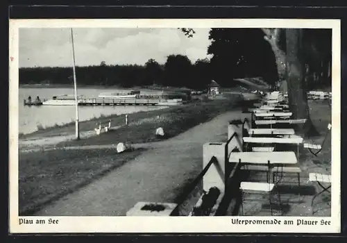 AK Plau am See, Uferpromenade mit Steg am Plauer See